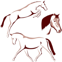 Horses